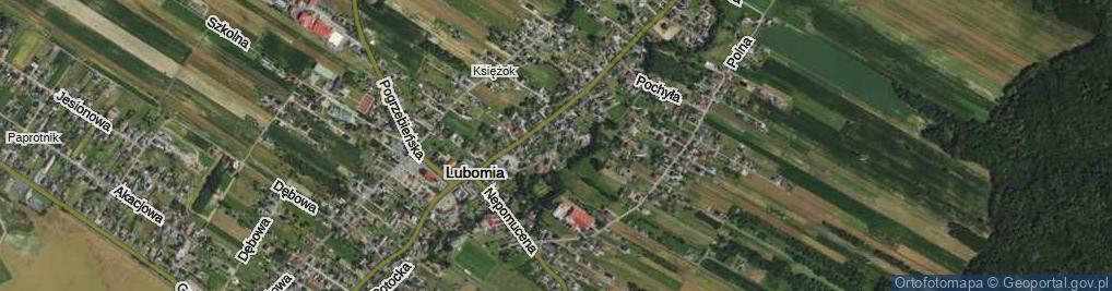 Zdjęcie satelitarne Uboczna ul.