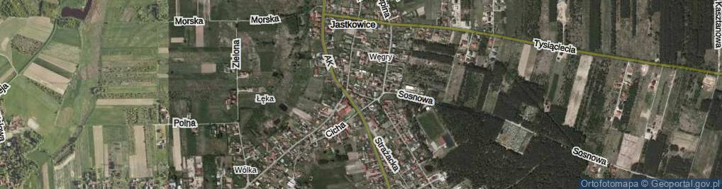Zdjęcie satelitarne Wąska ul.