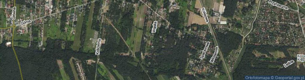 Zdjęcie satelitarne Wąska ul.