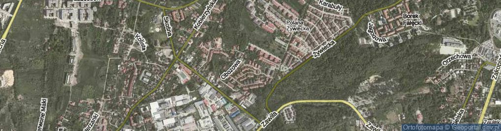 Zdjęcie satelitarne Wandejska ul.