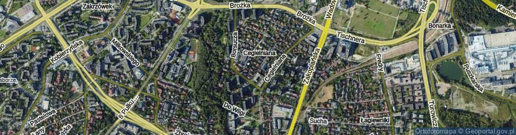 Zdjęcie satelitarne Wałbrzyska ul.