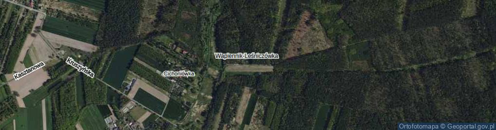 Zdjęcie satelitarne Wapiennik ul.