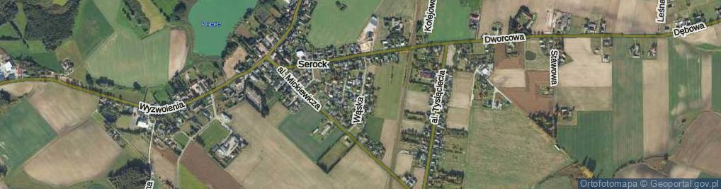 Zdjęcie satelitarne Wąska ul.