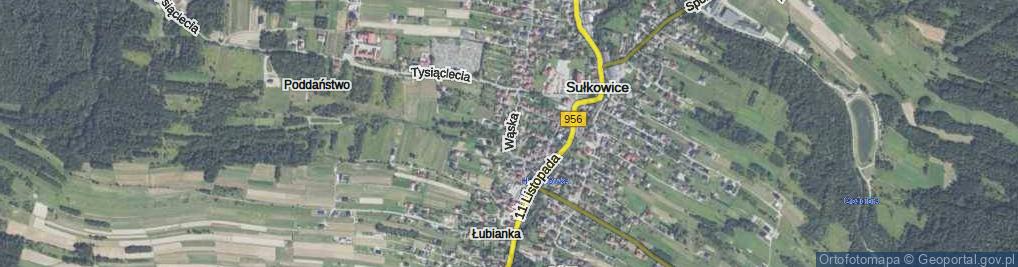 Zdjęcie satelitarne Wąska ul.