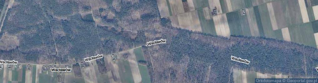 Zdjęcie satelitarne Wacławów ul.
