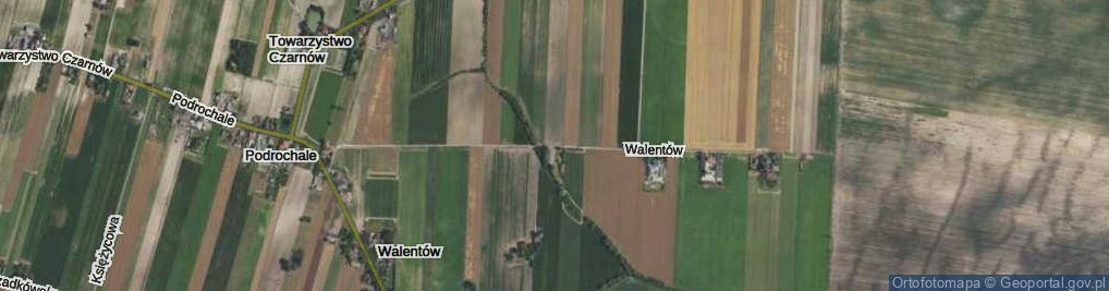 Zdjęcie satelitarne Walentów ul.