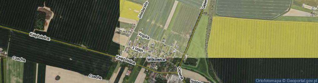 Zdjęcie satelitarne Wąska ul.