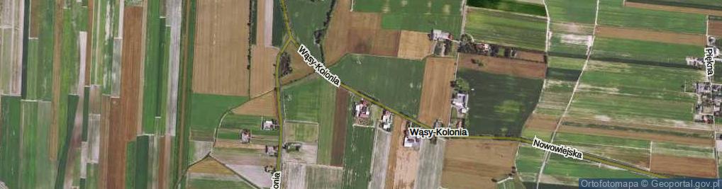Zdjęcie satelitarne Wąsy-Kolonia ul.