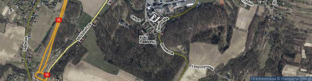 Zdjęcie satelitarne Wesoła ul.