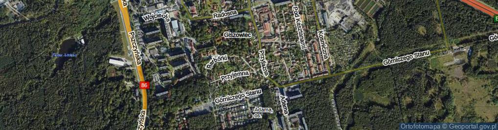 Zdjęcie satelitarne Wesołowska ul.