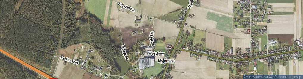 Zdjęcie satelitarne Wężyków ul.