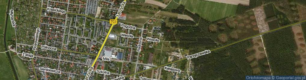 Zdjęcie satelitarne Wesoła ul.