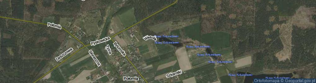 Zdjęcie satelitarne Wesoła ul.