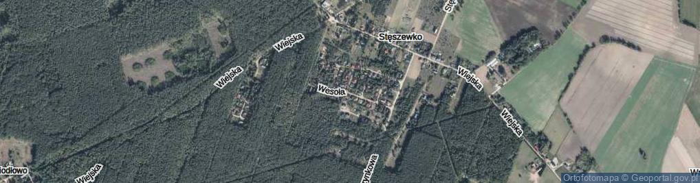 Zdjęcie satelitarne Wesoła ul.