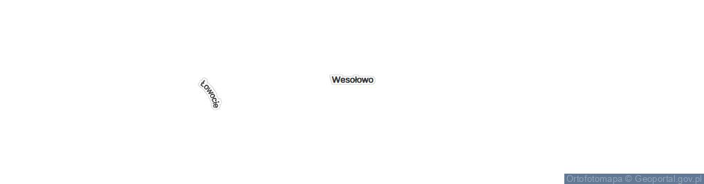 Zdjęcie satelitarne Wesołowo ul.