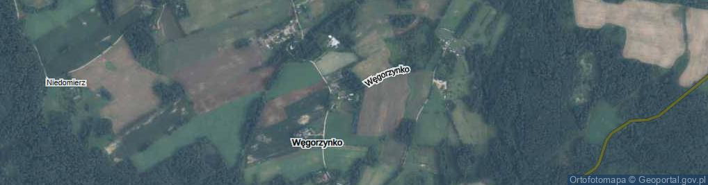 Zdjęcie satelitarne Węgorzynko ul.