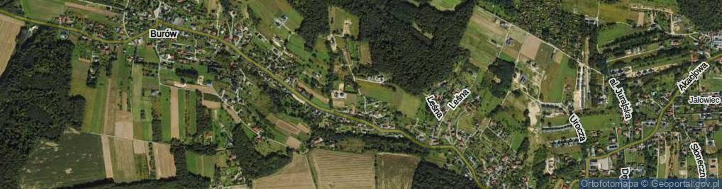 Zdjęcie satelitarne Winna Góra ul.