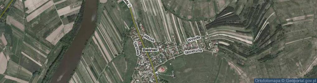 Zdjęcie satelitarne Witosa Wincentego ul.