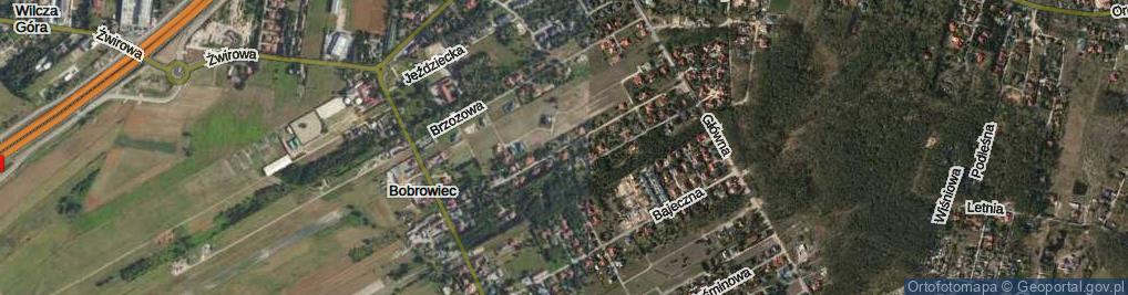 Zdjęcie satelitarne Willowa ul.