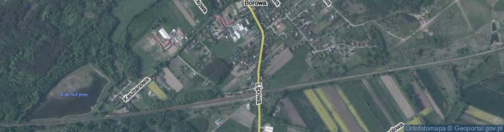 Zdjęcie satelitarne Wierzbowa ul.