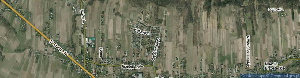 Zdjęcie satelitarne Winiarza Jana ul.