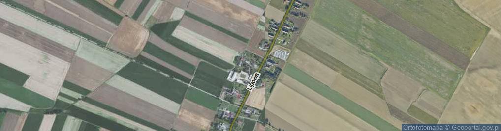 Zdjęcie satelitarne Wierzbowa ul.