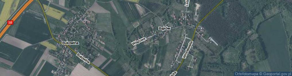 Zdjęcie satelitarne Wiązowa ul.