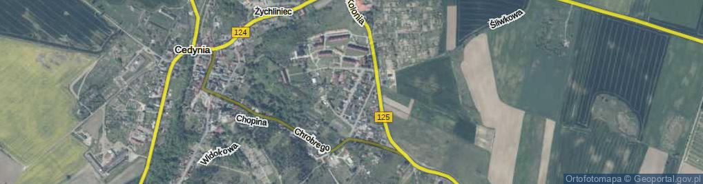 Zdjęcie satelitarne Willowa ul.