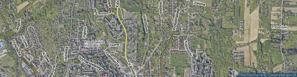 Zdjęcie satelitarne Wierzbowa ul.