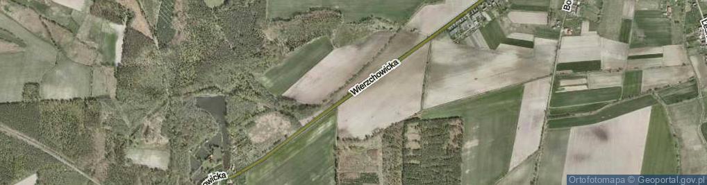 Zdjęcie satelitarne Wierzchowicka ul.