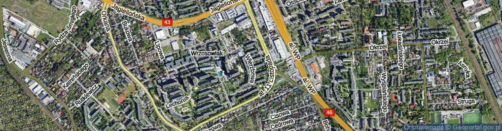 Zdjęcie satelitarne Wierzbowa ul.