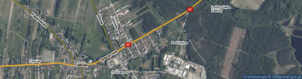 Zdjęcie satelitarne Wierzbowa ul.