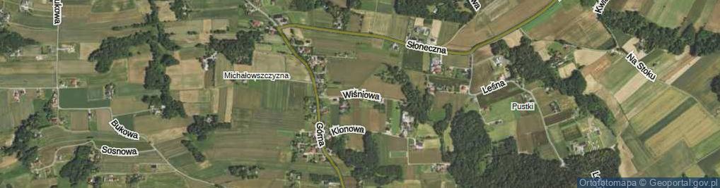 Zdjęcie satelitarne Wiśniowa ul.