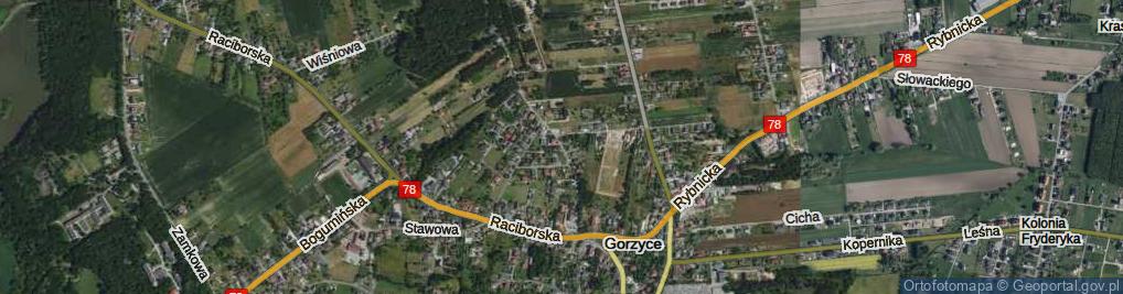 Zdjęcie satelitarne Wierzbowa ul.
