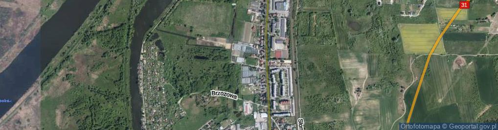 Zdjęcie satelitarne Wierzbowa ul.