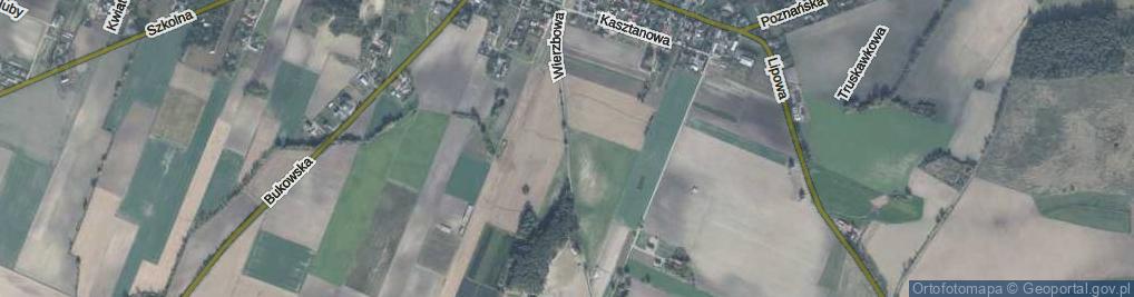 Zdjęcie satelitarne Wierzbowa ul.