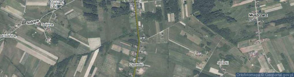 Zdjęcie satelitarne Widokowa ul.