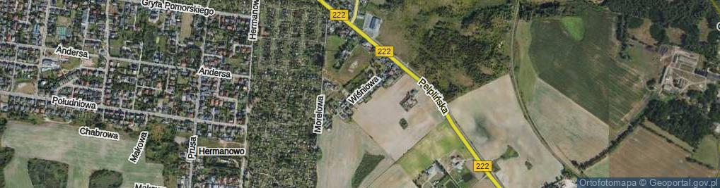 Zdjęcie satelitarne Wiśniowa ul.