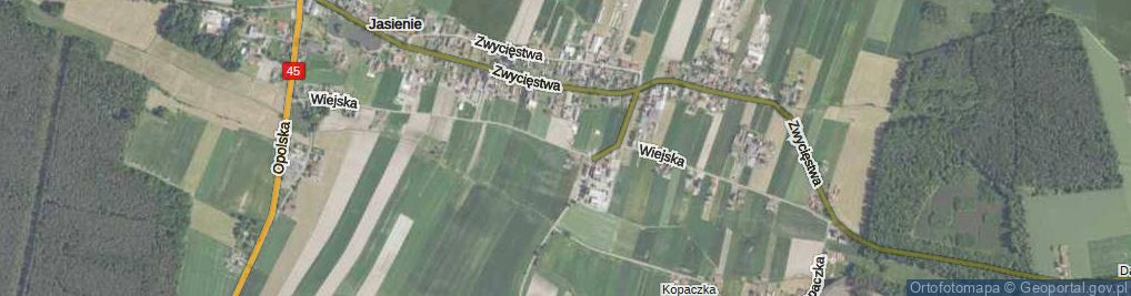 Zdjęcie satelitarne Wiejska ul.