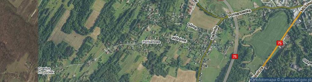 Zdjęcie satelitarne Wiśnicka ul.