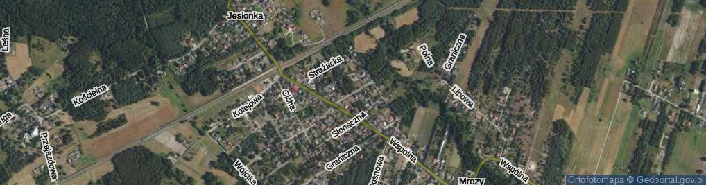 Zdjęcie satelitarne Więckowskiego Tadeusza ul.