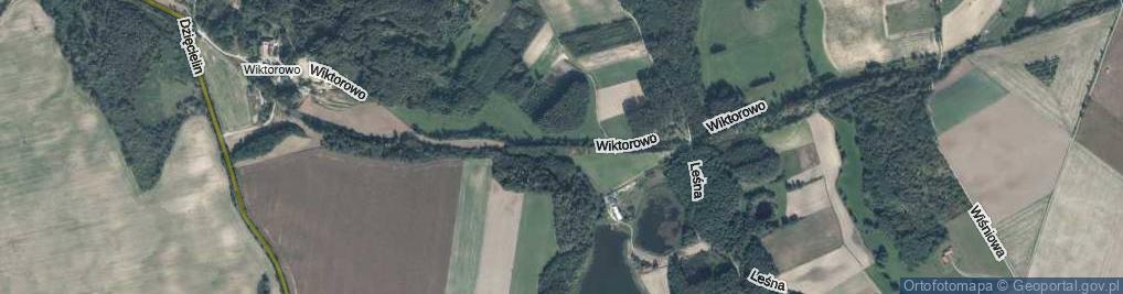 Zdjęcie satelitarne Wiktorowo ul.