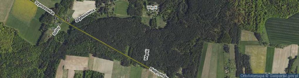 Zdjęcie satelitarne Więcki ul.