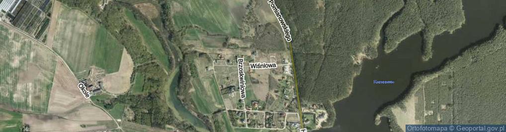 Zdjęcie satelitarne Wiśniowa ul.