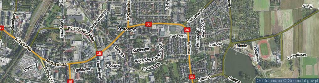 Zdjęcie satelitarne Więźniów Politycznych ul.