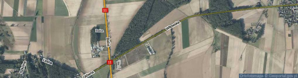 Zdjęcie satelitarne Witowska ul.