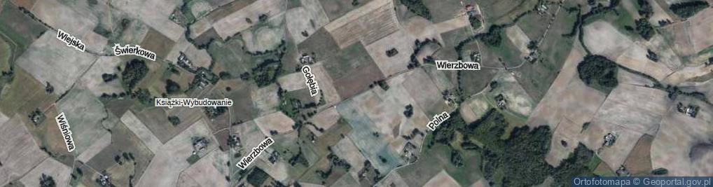 Zdjęcie satelitarne Wierzbowa ul.