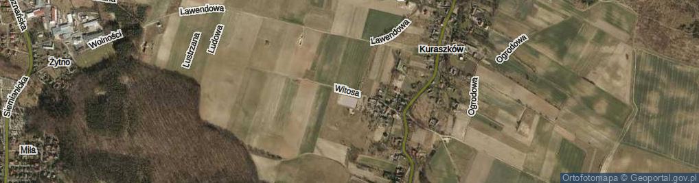 Zdjęcie satelitarne Witosa Wincentego ul.