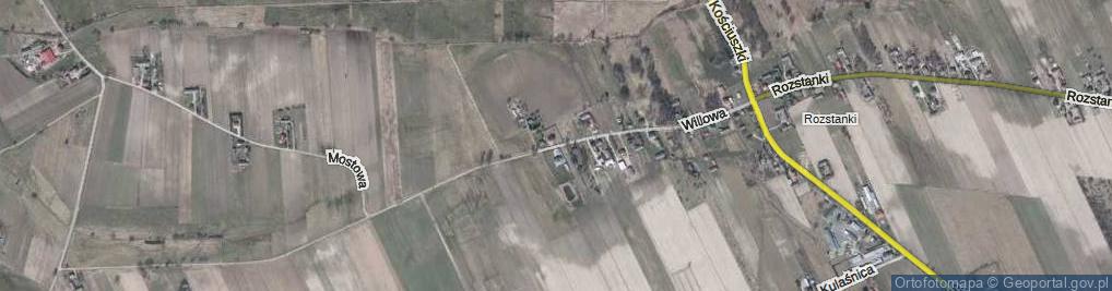 Zdjęcie satelitarne Willowa ul.