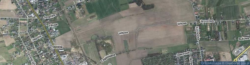 Zdjęcie satelitarne Witosa Wincentego ul.